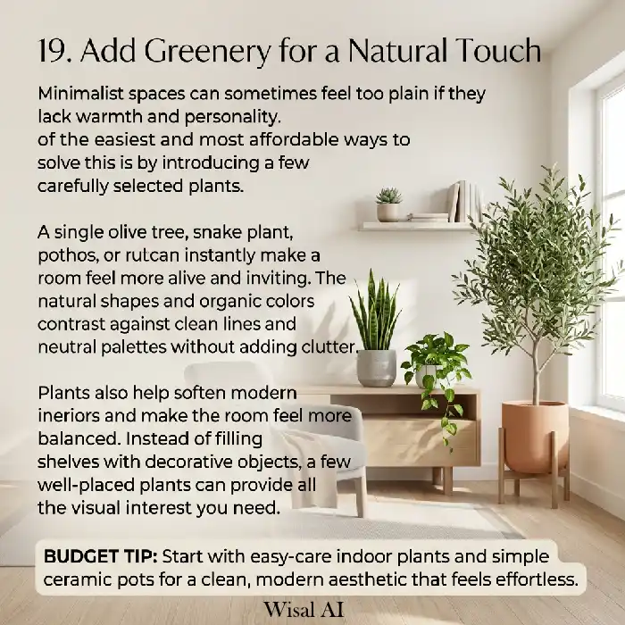 Budget-friendly minimalist living room with neutral furniture and indoor plants creating a fresh natural atmosphere
